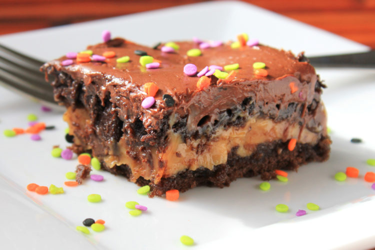 Turtle Dove Cake
