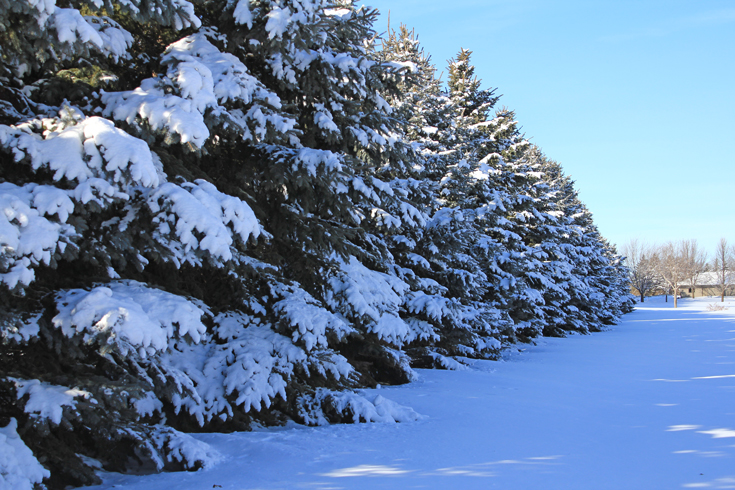 winter