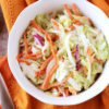 low fodmap creamy coleslaw