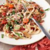 Low-FODMAP Crock Pot Beef Ragu