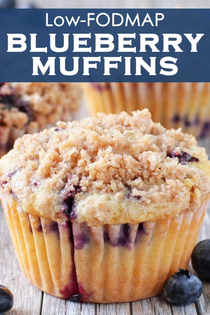 Low FODMAP Bakery Style Blueberry Muffins