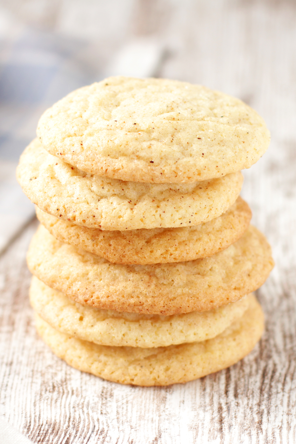 Low FODMAP Eggnog Snickerdoodles - Delicious As It Looks