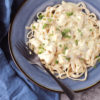 Low FODMAP Slow Cooker Chicken Stroganoff