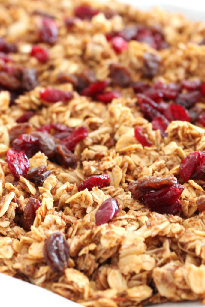 Cranberry Flax Granola