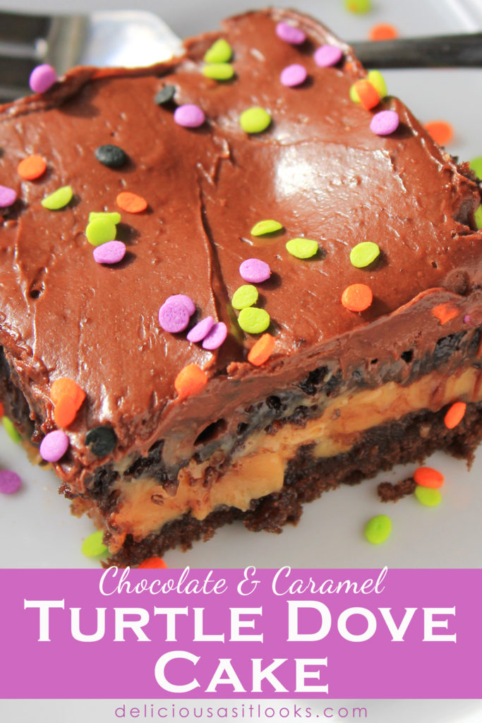 Turtle Dove Cake